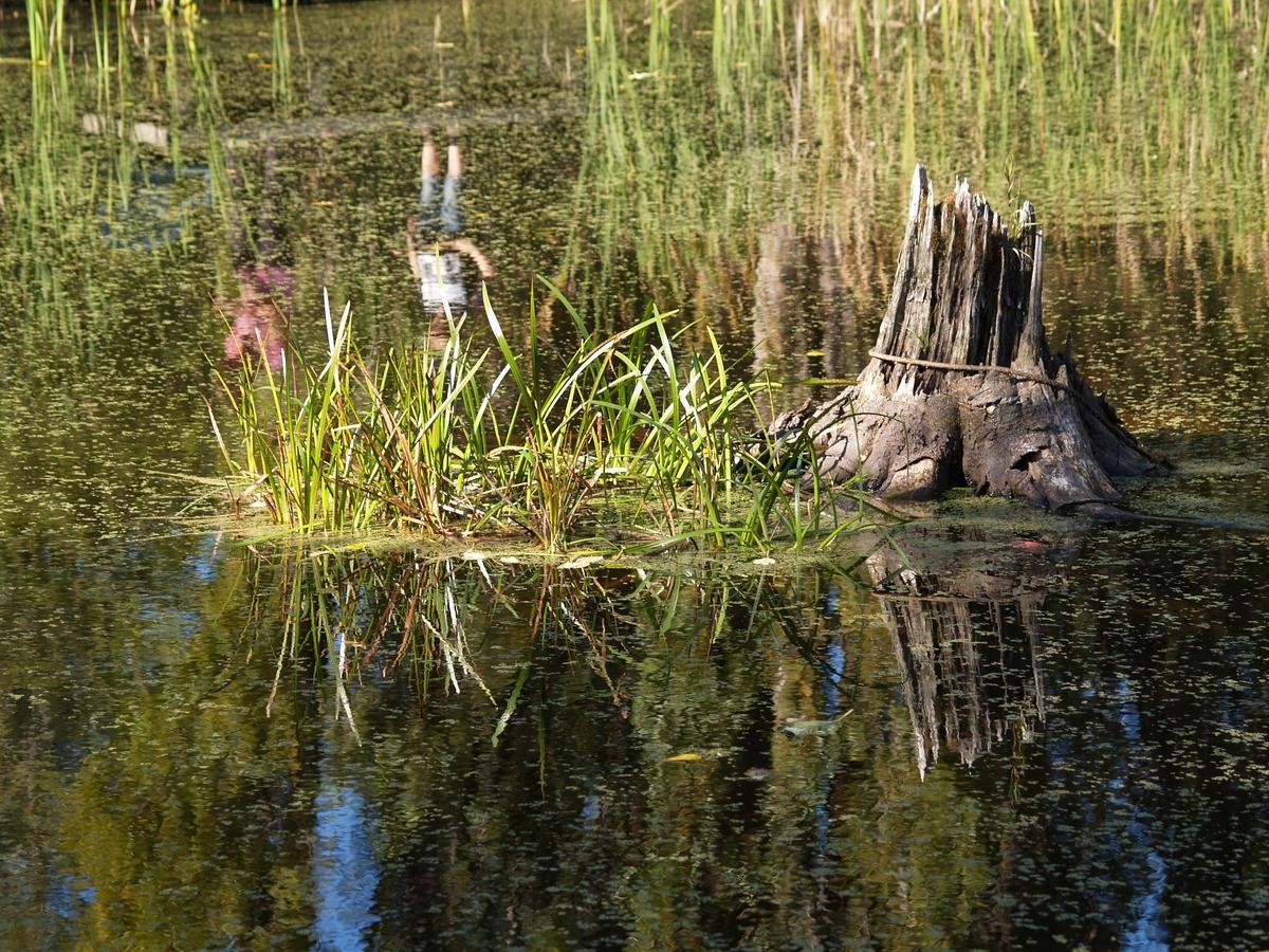 Lucky Mud Inn And Disc Golf Resort Skamokawa Zewnętrze zdjęcie